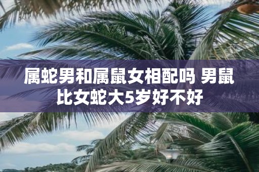 属蛇男和属鼠女相配吗 男鼠比女蛇大5岁好不好