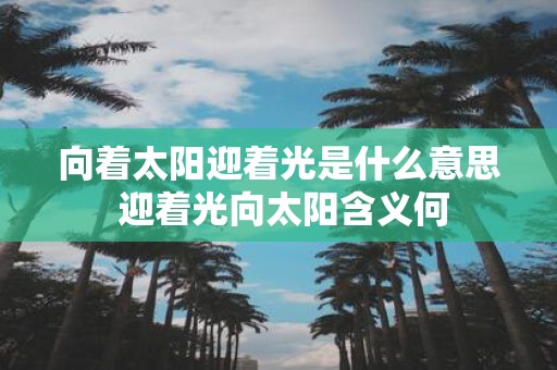 向着太阳迎着光是什么意思 迎着光向太阳含义何