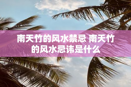 南天竹的风水禁忌 南天竹的风水忌讳是什么