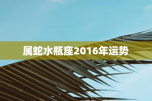 属蛇水瓶座2016年运势
