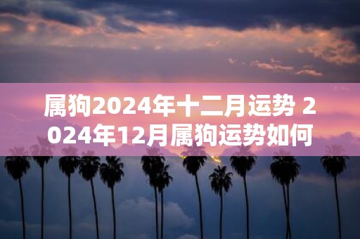 属狗2025年十二月运势 2025年12月属狗运势如何