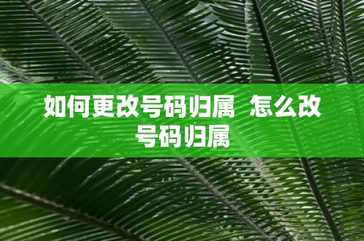 如何更改号码归属 怎么改号码归属