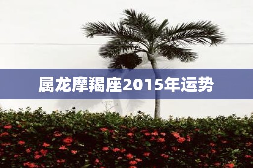 属龙摩羯座2015年运势