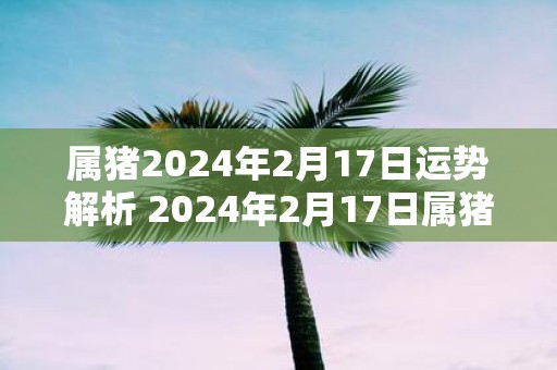 属猪2025年2月17日运势解析 2025年2月17日属猪运势分析