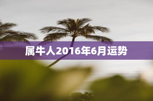 属牛人2016年6月运势