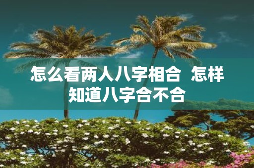 怎么看两人八字相合 怎样知道八字合不合