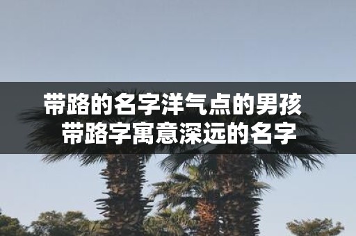 带路的名字洋气点的男孩 带路字寓意深远的名字