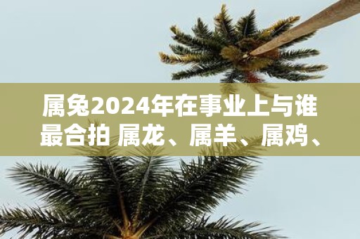 属兔2025年在事业上与谁最合拍 属龙、属羊、属鸡、属猪