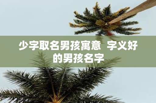 少字取名男孩寓意 字义好的男孩名字