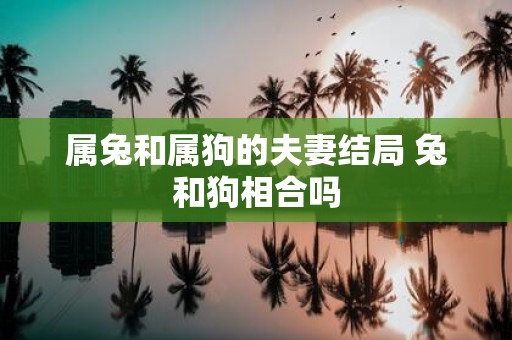 属兔和属狗的夫妻结局 兔和狗相合吗