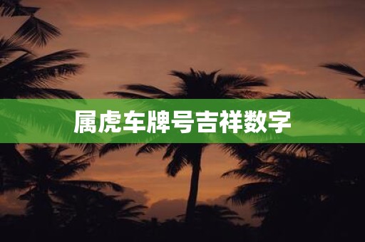 属虎车牌号吉祥数字