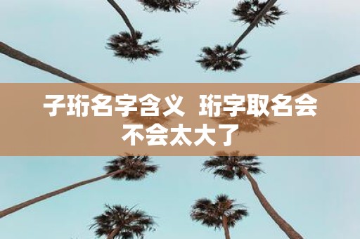 子珩名字含义 珩字取名会不会太大了