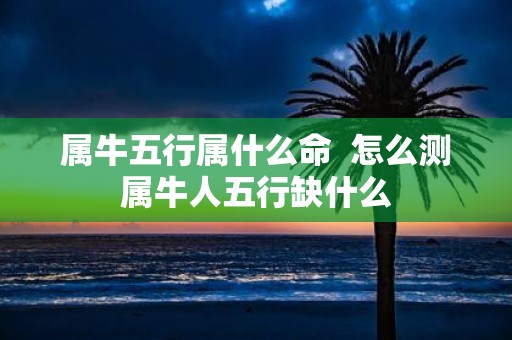 属牛五行属什么命 怎么测属牛人五行缺什么