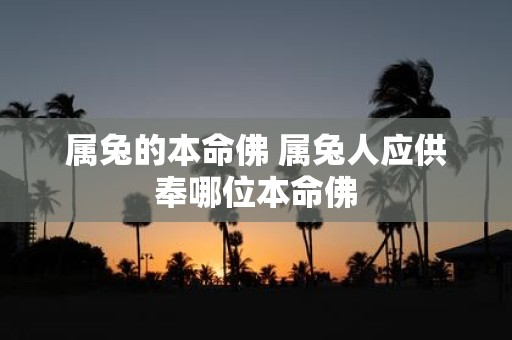 属兔的本命佛 属兔人应供奉哪位本命佛