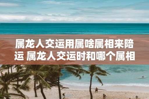 属龙人交运用属啥属相来陪运 属龙人交运时和哪个属相接触好