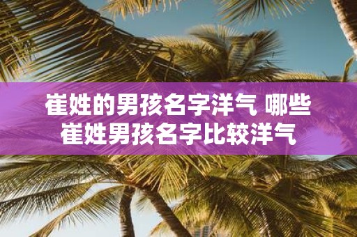 崔姓的男孩名字洋气 哪些崔姓男孩名字比较洋气