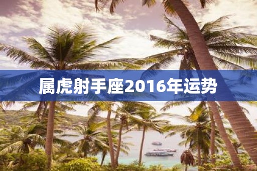 属虎射手座2016年运势