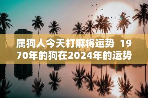 属狗人今天打麻将运势 1970年的狗在2025年的运势如何
