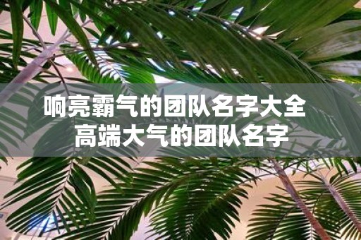响亮霸气的团队名字大全 高端大气的团队名字