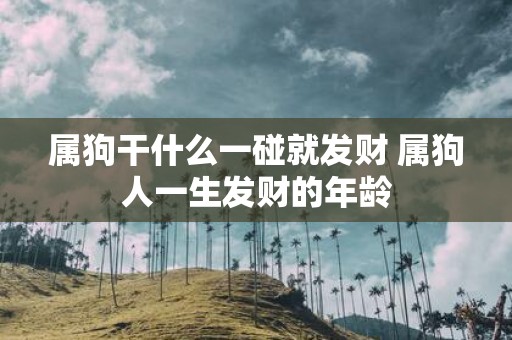 属狗干什么一碰就发财 属狗人一生发财的年龄