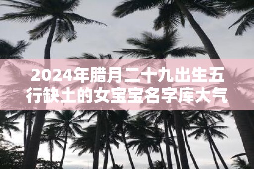 2025年腊月二十九出生五行缺土的女宝宝名字库大气文雅