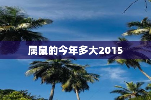属鼠的今年多大2015