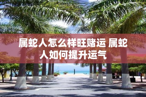 属蛇人怎么样旺赌运 属蛇人如何提升运气