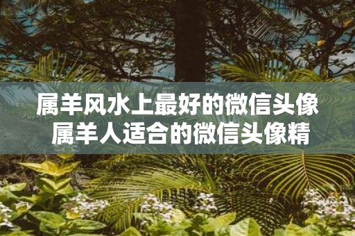 属羊风水上最好的微信头像 属羊人适合的微信头像精选