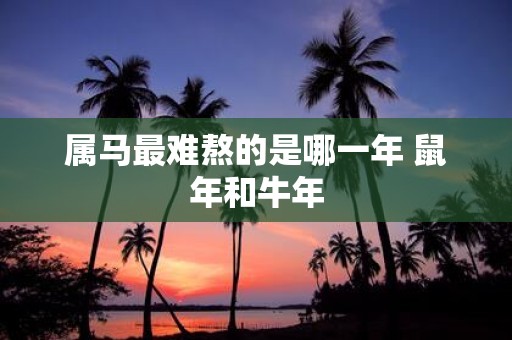 属马最难熬的是哪一年 鼠年和牛年