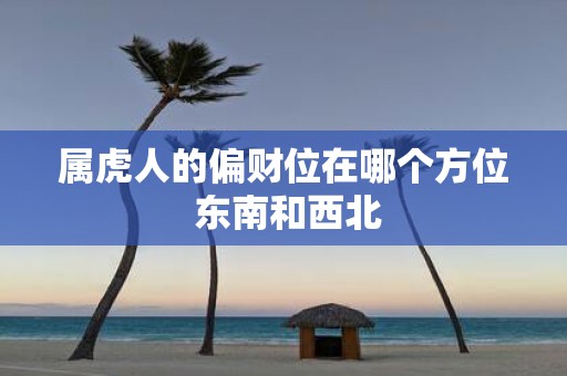 属虎人的偏财位在哪个方位 东南和西北