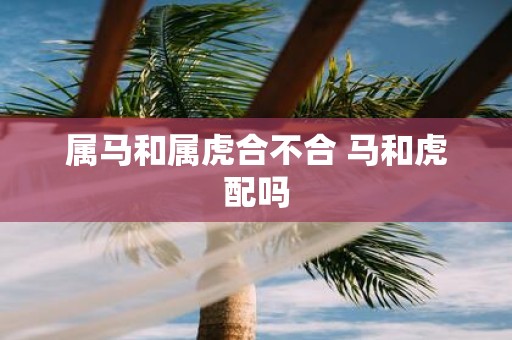 属马和属虎合不合 马和虎配吗