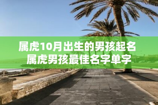 属虎10月出生的男孩起名 属虎男孩最佳名字单字