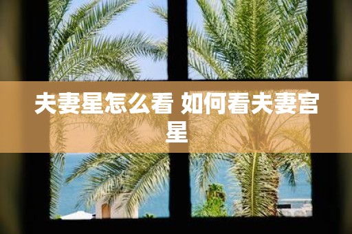 夫妻星怎么看 如何看夫妻宫星