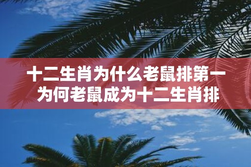 十二生肖为什么老鼠排第一 为何老鼠成为十二生肖排名第一