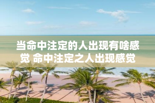 当命中注定的人出现有啥感觉 命中注定之人出现感觉如何