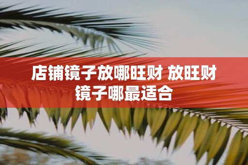 店铺镜子放哪旺财 放旺财镜子哪最适合