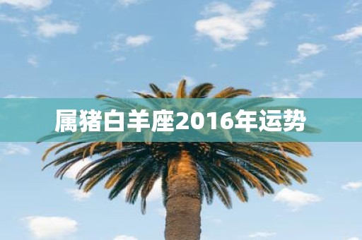 属猪白羊座2016年运势