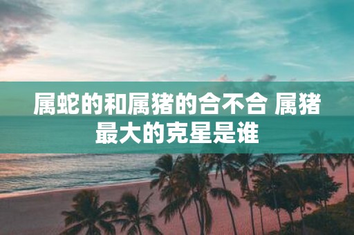 属蛇的和属猪的合不合 属猪最大的克星是谁