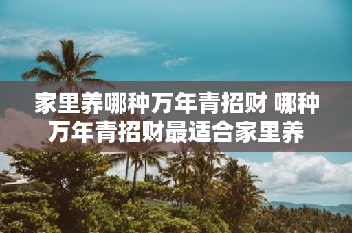 家里养哪种万年青招财 哪种万年青招财最适合家里养