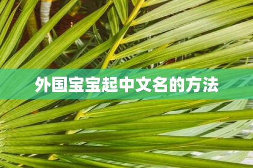 外国宝宝起中文名的方法