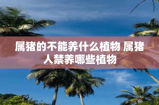 属猪的不能养什么植物 属猪人禁养哪些植物