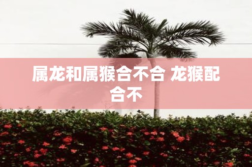属龙和属猴合不合 龙猴配合不