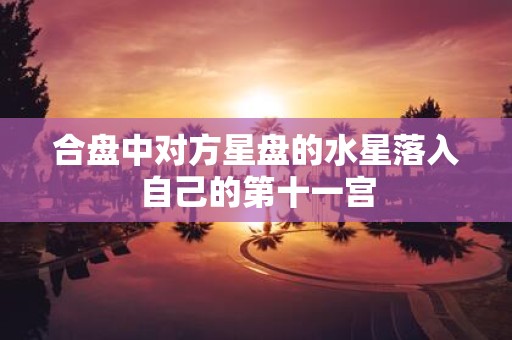 合盘中对方星盘的水星落入自己的第十一宫