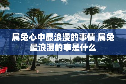 属兔心中最浪漫的事情 属兔最浪漫的事是什么