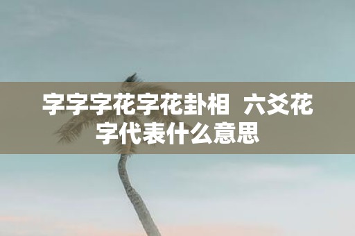 字字字花字花卦相 六爻花字代表什么意思