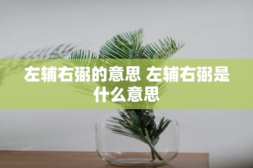 左辅右弼的意思 左辅右弼是什么意思