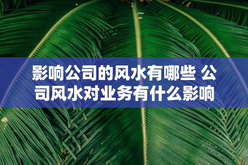 影响公司的风水有哪些 公司风水对业务有什么影响