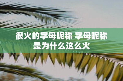 很火的字母昵称 字母昵称是为什么这么火