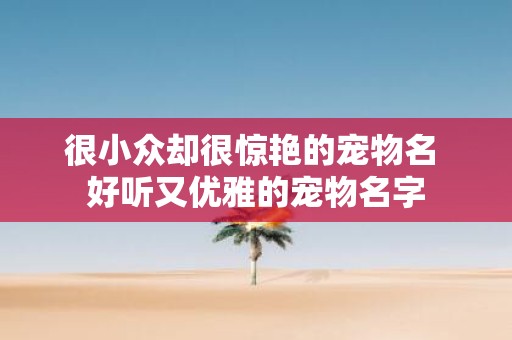 很小众却很惊艳的宠物名 好听又优雅的宠物名字