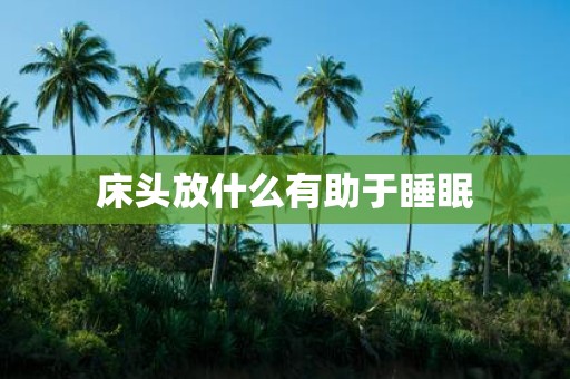 床头放什么有助于睡眠